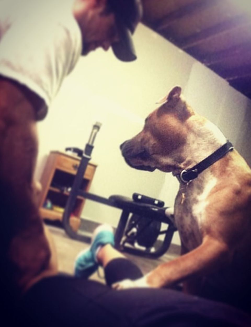 Chad and his dog kneeling beside a client during a bodywork session